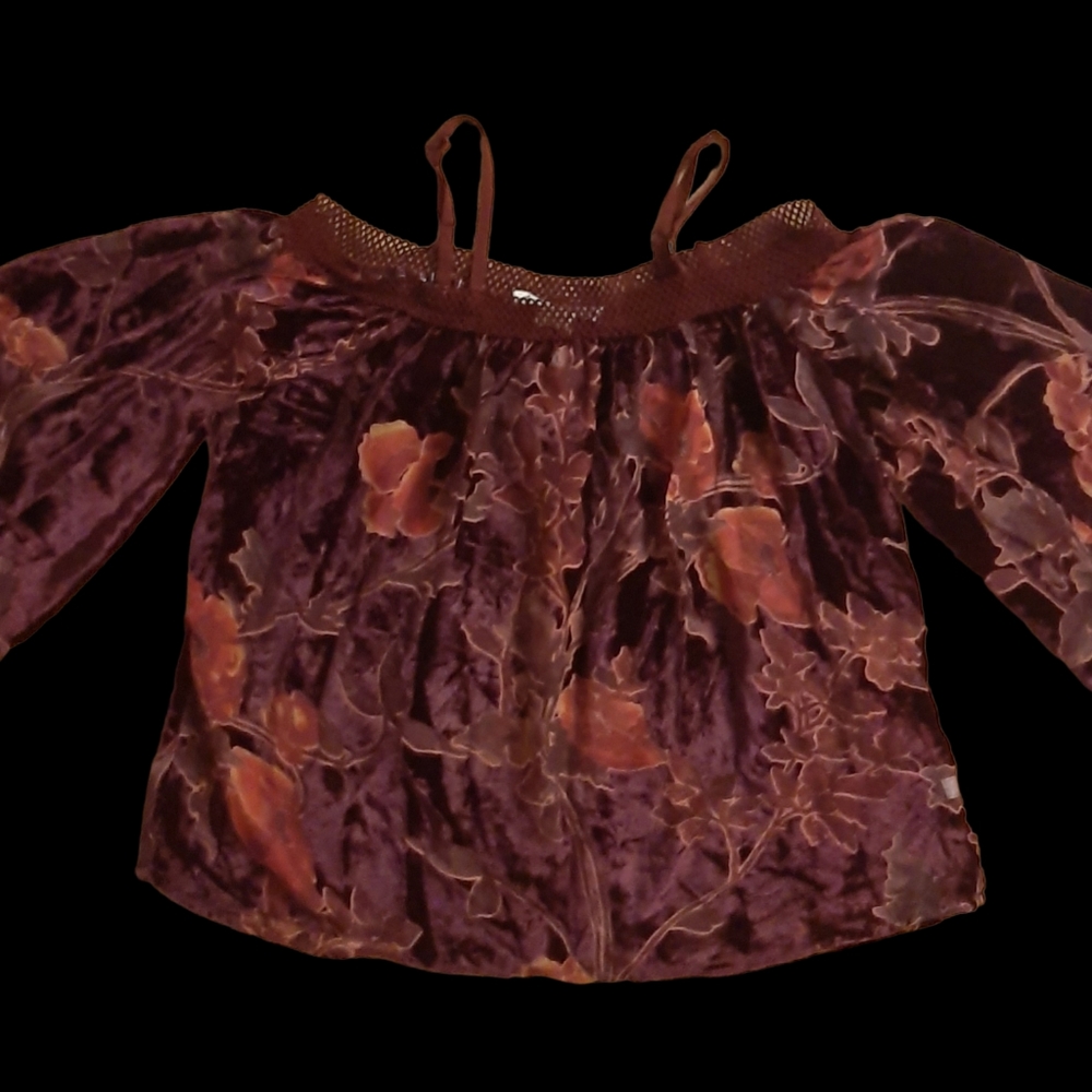 American Rag Purple Floral Velour Blouse